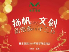 年终会：记2015年终总结大会暨2016年计划会议