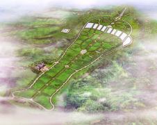 尊龙集团集团：公墓投资的践行者，经营管理的行家