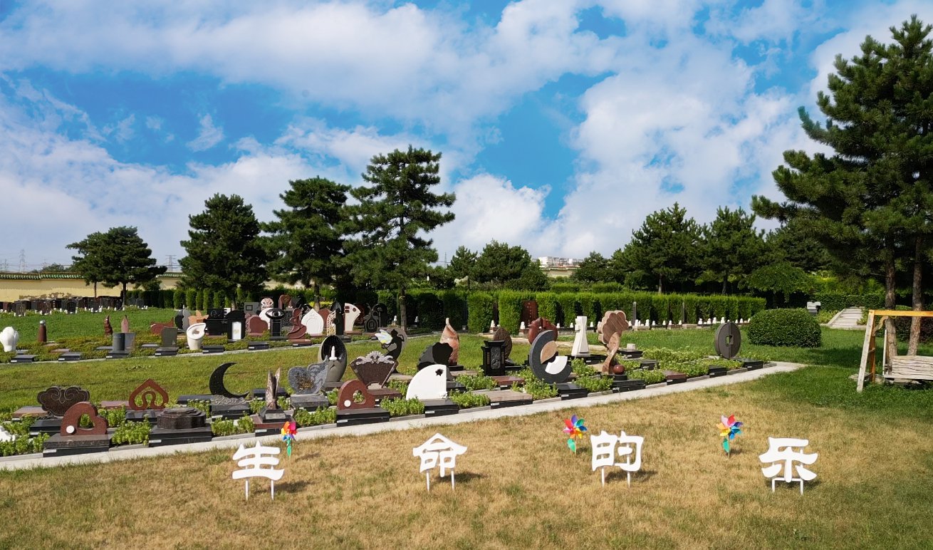 共赢之道：尊龙集团集团BOT合作模式的优势与效益分析