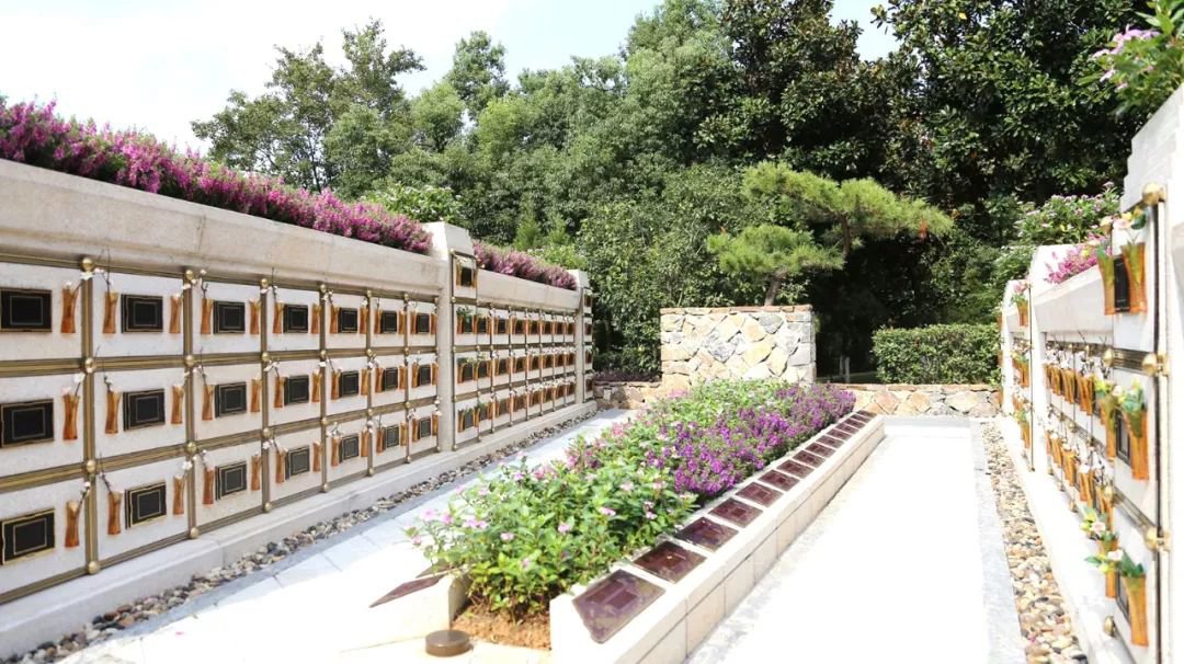 <b>在合肥大蜀山文化陵园，与生命温柔对话</b>