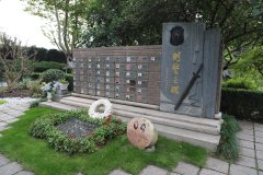 致敬“平安卫士”，铭记“刑警之魂”