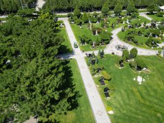 碑雕设计：镌刻历史，传承人文